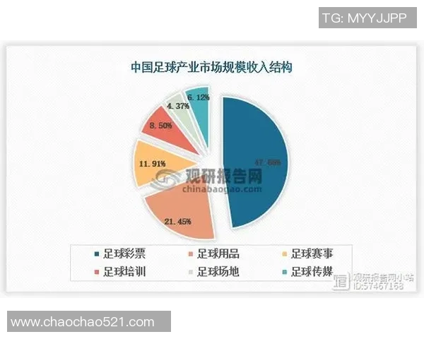 世界顶尖足球的魅力与挑战探讨全球足球发展的新趋势与未来方向